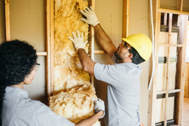 Best Blown-In Insulation  in Sunnyvale, TX